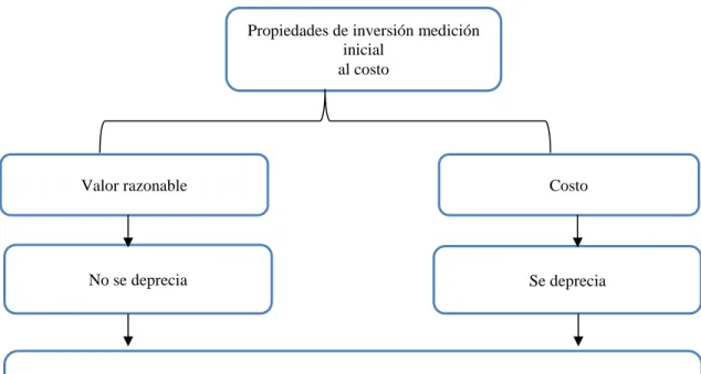 Figura 8. Propiedades de inversión en NIIF Plenas  Fuente: Elaboración propia