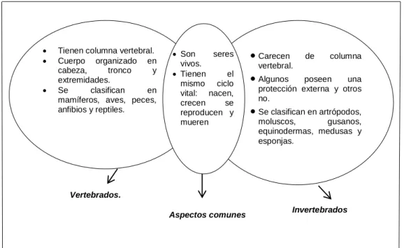 Figura 4: Mapa cognitivo de aspectos comunes 