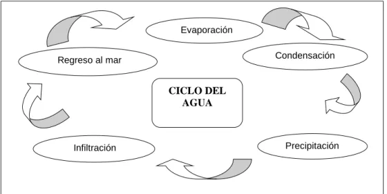 Figura 5: Mapa cognitivo de ciclos 