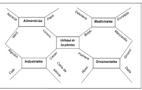 Figura 8: Mapa cognitivo tipo panal 
