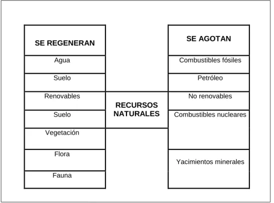 Figura 9: Mapa cognitivo de comparaciones 