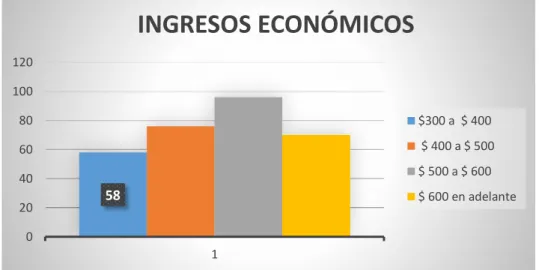 Gráfico 5-3: Ingresos económicos 