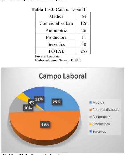 Tabla 11-3: Campo Laboral 