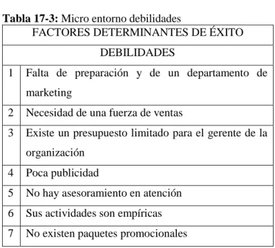 Tabla 17-3: Micro entorno debilidades 