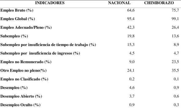 Tabla 8-3: Indicadores de empleo 2017 