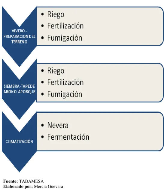 Gráfico 4: Subprocesos TABAMESA 