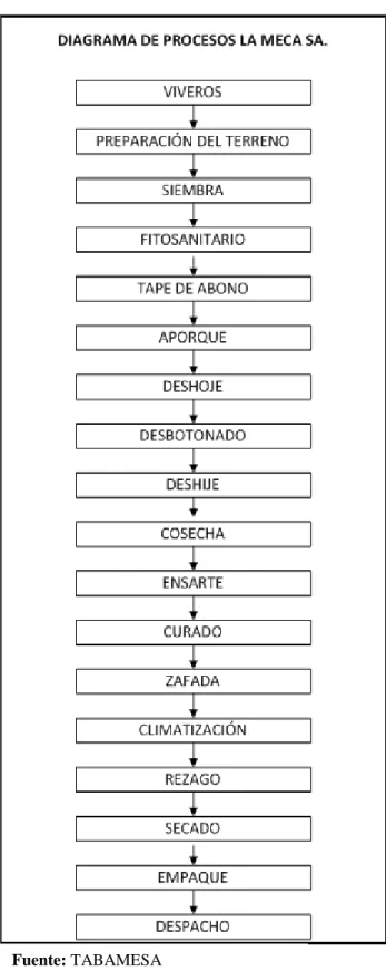 Gráfico 5: Diagrama de Procesos TABAMESA 