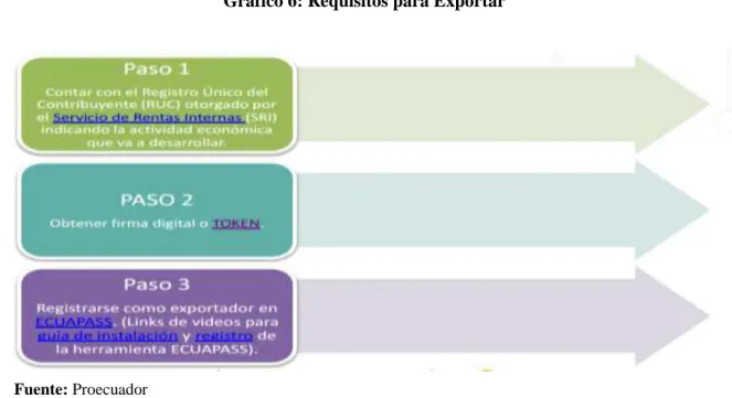 Gráfico 6: Requisitos para Exportar