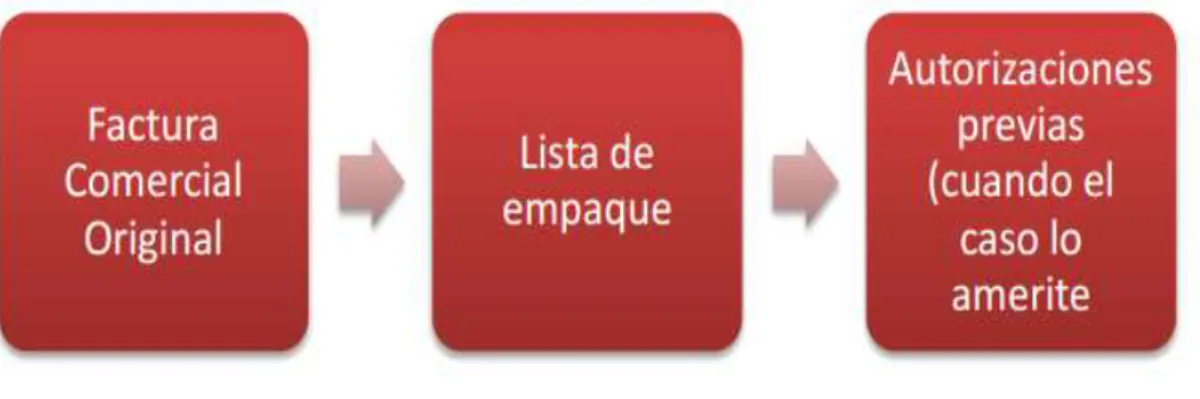 Gráfico 7: Documentos para Apertura de Exportación 
