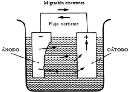 Figura 1.2 Dirección del flujo de corriente entre un ánodo y un cátodo en una  celda de corrosión