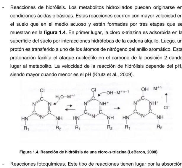 Figura 1.4. Reacción de hidrólisis de una cloro-s-triazina (LeBaron, 2008)