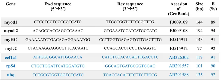 Tabla 1. Primers usados en la qPCR. Para cada gen, hay un número de acceso para GenBank, un tamaño de amplicón  (bp) y una eficiencia de amplificación