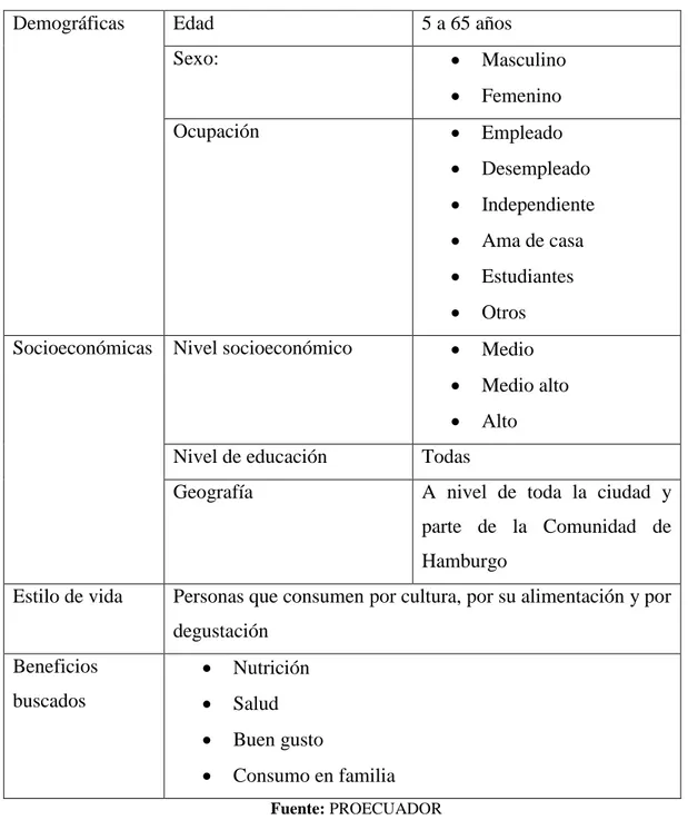 Tabla 9: Segmentación de mercado 