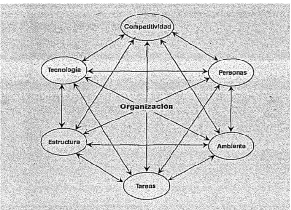 Figura  6: Variables básicas del proceso de la Administración 