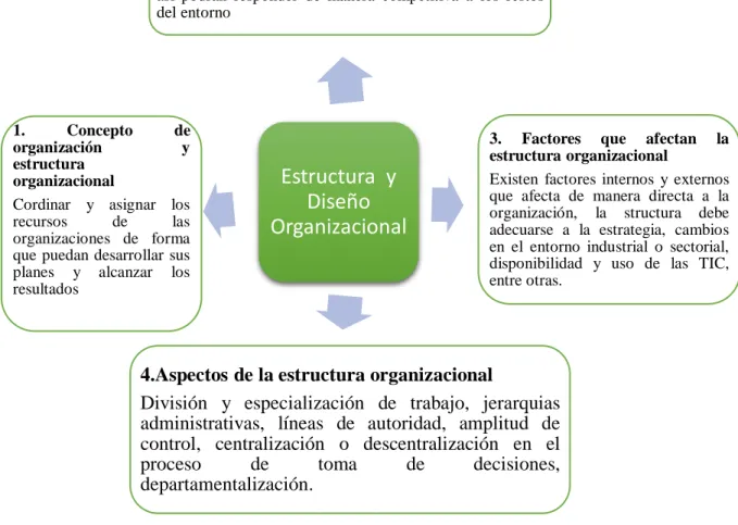 Figura  9: Organización 