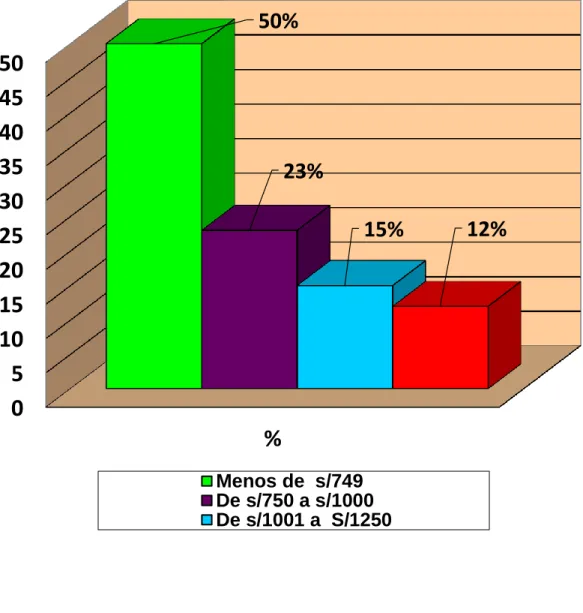 GRÁFICO Nº 5 