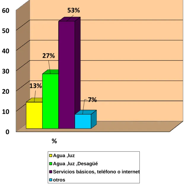 GRÁFICO Nº6 