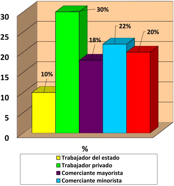 GRÁFICO Nº 13 