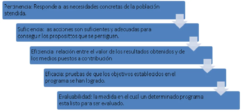 Ilustración 1. Juicios para la Evaluación de Programas.