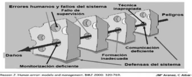 Figura 1. Modelo explicativo del queso suizo 