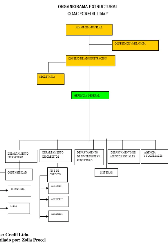 Gráfico 1: Organigrama Credil 