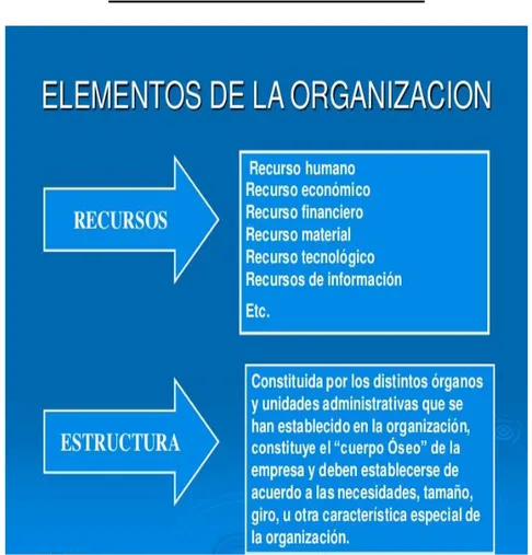 Gráfico 11: Elementos de la Organización  