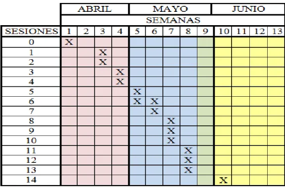 Tabla 5. Cronograma de implementación. 