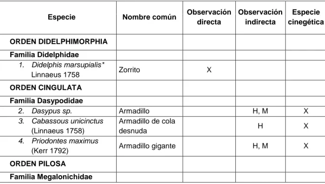 Tabla  3.  Especies  registradas    mediante  observaciones  directas  e  indirectas  en  el  río  La  Novia