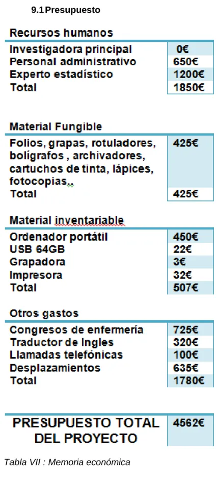 Tabla VII : Memoria económica 