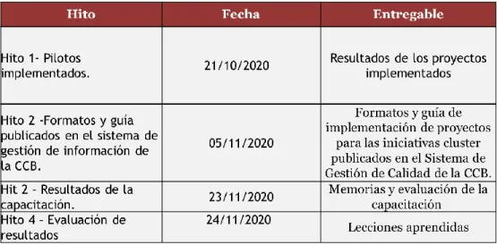 Tabla 2. Hitos, fechas y entregables 
