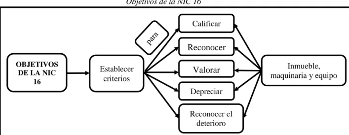 Figura 3  Objetivos de la NIC 16 