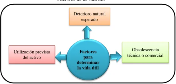 Figura 5  Factores de la vida útil 