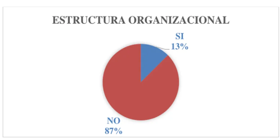 Gráfico 7: Estructura Organizacional 