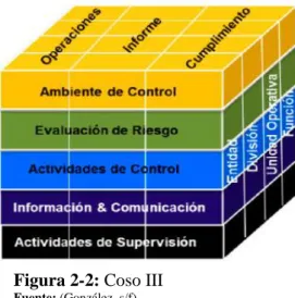 Figura 2-2: Coso III 