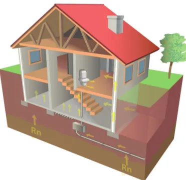 Figure 2. Radon accesses to a home: access through cracks in the subsoil, accumulation in lower floors  and/or basements due to poor ventilation, through water pipes that are contaminated in the subsoil  and transfer radon to higher levels, where it is fil