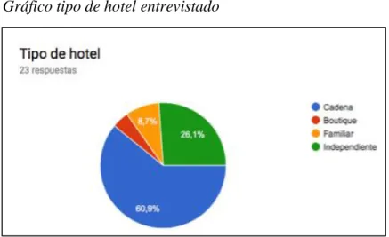 Gráfico tipo de hotel entrevistado   