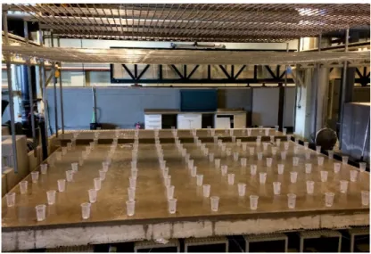 Figure 3. Vessels disposed over the entire model surface in a 0.5 m × 0.5 m grid to measure rain  intensity and uniformity