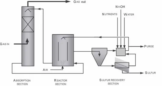 Figure 3. Biotechnological process for gas desulphurisation.