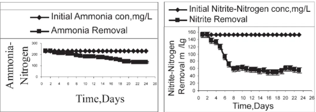 Figure 2a. Ammonia removal in the system. Figure 2b. Nitrite removal in the system.
