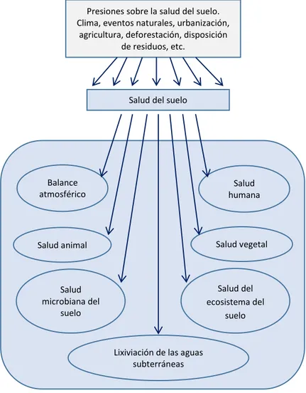 Figura N o  1: Puntos relevantes para la política de vigilancia de la salud  del suelo, Soil Enzymology 2011 .