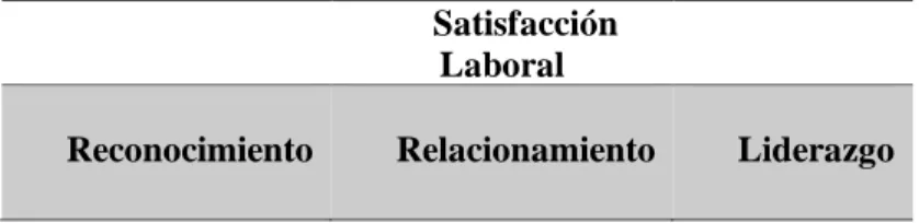 Tabla 2. Variables de la investigación 