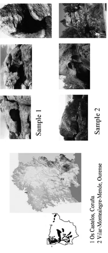 Figure 1. Study area: location of the samples.