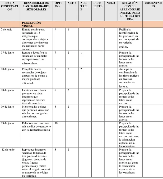 Tabla 3: Actividades aplicadas al desarrollo visual 