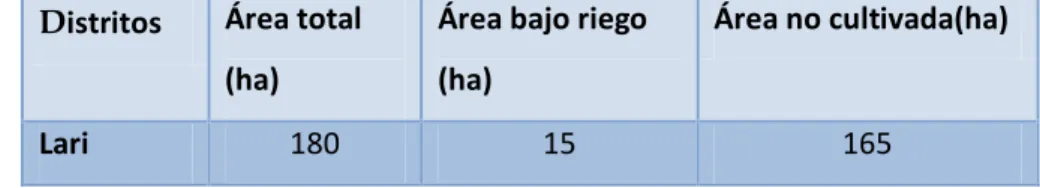 Tabla Nº 2.3 Área agrícola del  Distrito Considerado en el Estudio 