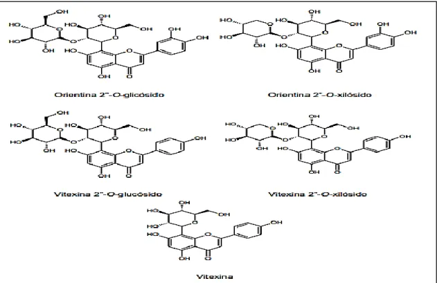 Figura  14-1.  Estructura  química  de  algunos  flavonoides  descritos  para  las  hojas  de  P