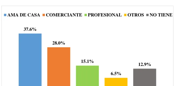 GRÁFICO N° 4 