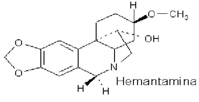 Figura 6-3: Estructura de la hemantamina  Figura 7-3: Estructura de la galantamina. 