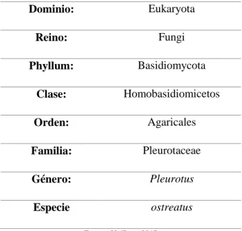Tabla 2-1: Taxonomía de Pleurotus ostreatus 