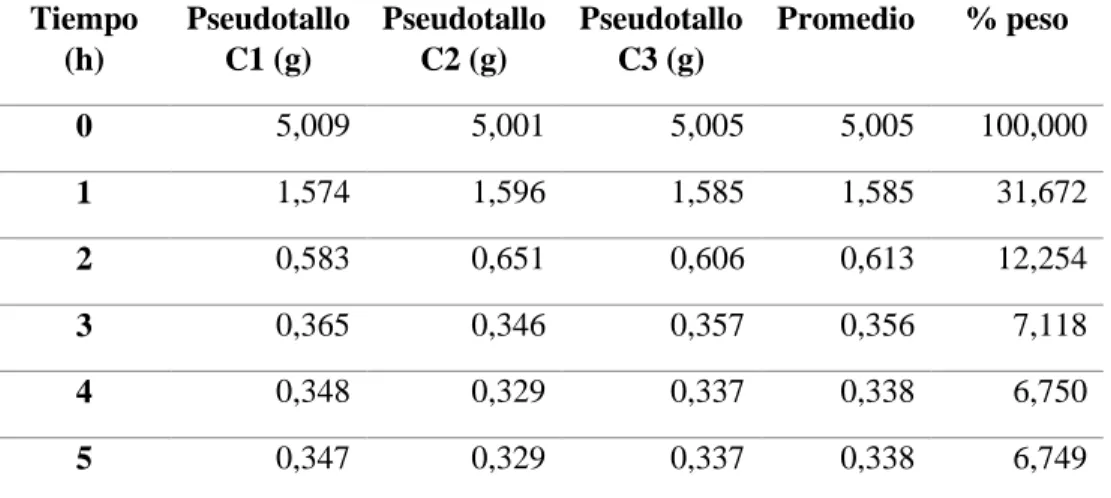 Gráfico 1-3: Pesos de muestras de pseudotallo secadas a diferentes temperaturas 