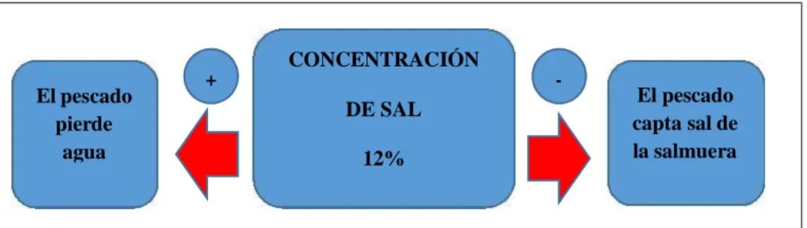 Figura N° 5: Rango de concentración de sal para salmueras 